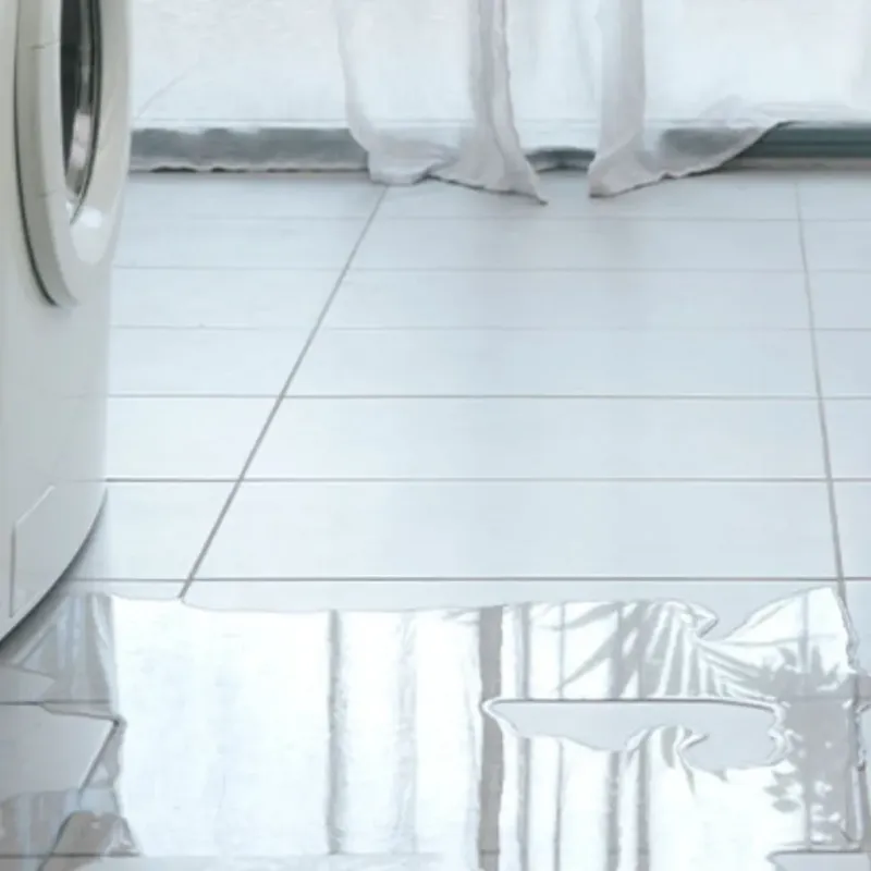 Appliance Leak Cleanup in Oakland, MO