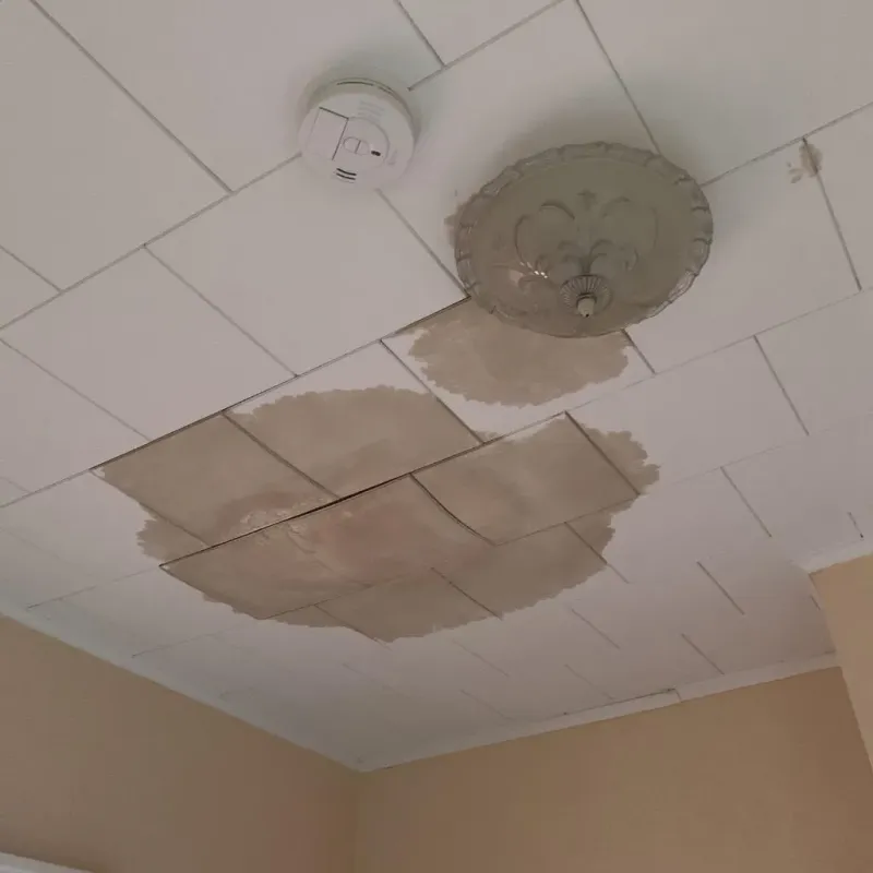 Ceiling Water Damage Repair in Oakland, MO