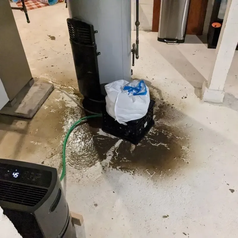 Sewage Backup Cleanup Service in Oakland, MO